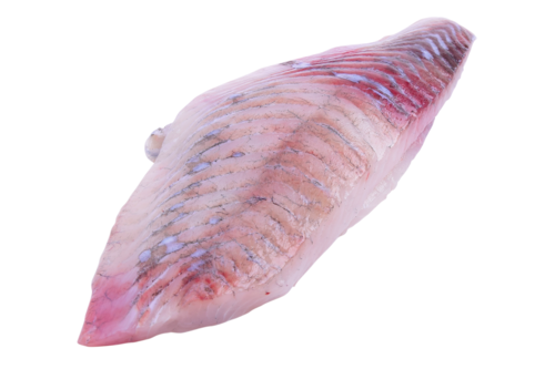 Turbot fillet w/o skin from 3-4kg (farmed)