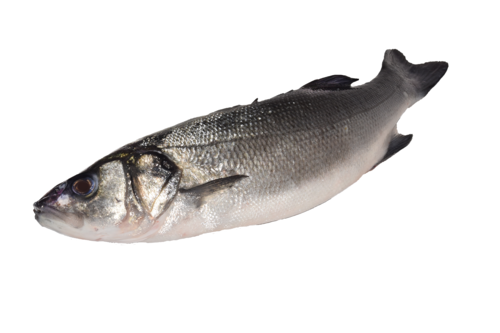 ASC Seabass 800-1200 g scaled