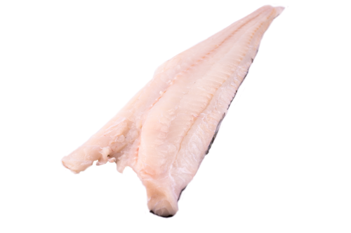 MSC Codfish fillet with skin large MSC