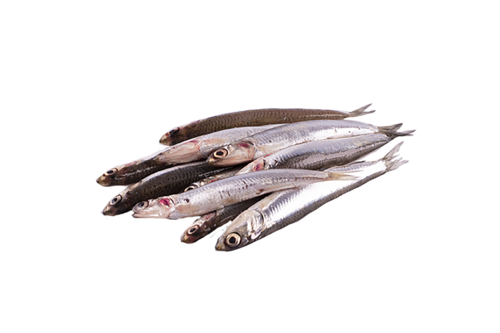 Anchovies gutted 1 kg frozen