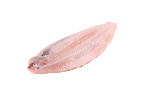 GGN Farmed sole 400-500 g cleaned frozen