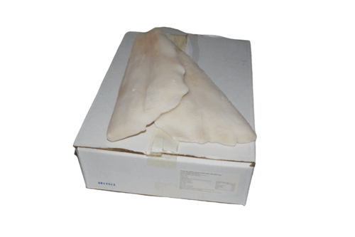 MSC Heilbotfilet Groenlands z/v 400-800gr ds 5 kg