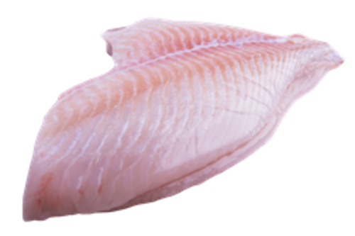 Turbot fillet Spanish w/o skin and fat from 2-3kg 
