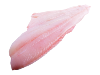 Halibut fillet w/o skin from 5kg+ w/o head