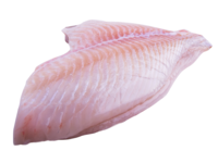 Turbot fillet w/o skin from 600-1000gr