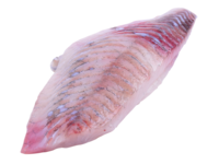 Turbot fillet w/o skin from 3-4kg (farmed)