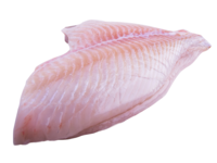 Turbot fillet w/o skin from 1-2kg (farmed)
